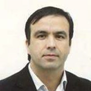 AUGUSTO MANUEL REIS GONÇALVES
