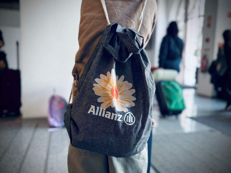 useful description of image if informative and not decoration only.