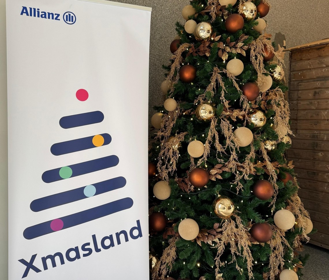 useful description of image if informative and not decoration only.