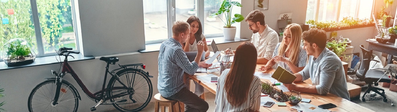 seguros para colaboradores