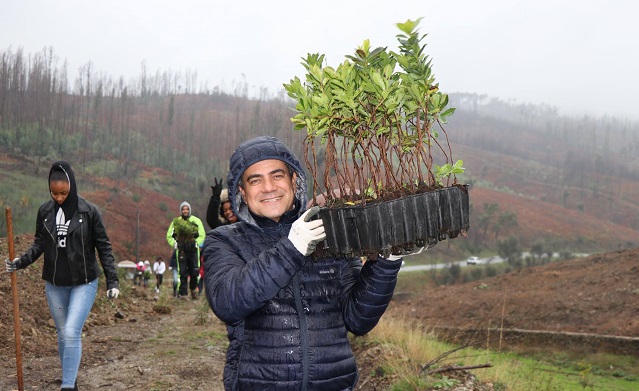 plantacao